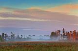 Distant Mist_07937-8